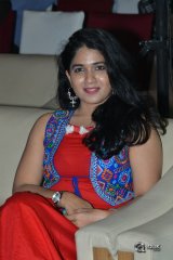Goodachari Movie Pre Release Event Photos